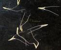  Spikelets